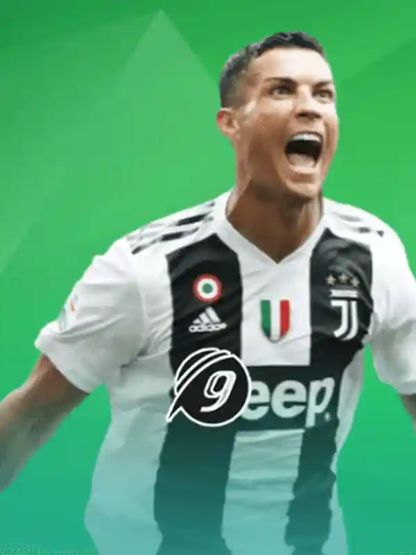 9Wickets খেলাধুলা